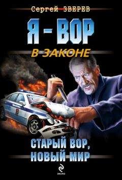 Читайте книги онлайн на Bookidrom.ru! Бесплатные книги в одном клике Сергей Зверев - Старый вор, новый мир
