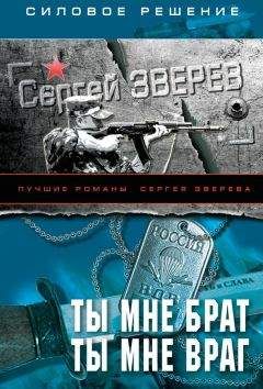 Читайте книги онлайн на Bookidrom.ru! Бесплатные книги в одном клике Сергей Зверев - Ты мне брат. Ты мне враг