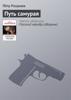 Читайте книги онлайн на Bookidrom.ru! Бесплатные книги в одном клике Пётр Разуваев - Путь самурая