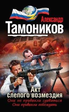 Читайте книги онлайн на Bookidrom.ru! Бесплатные книги в одном клике Александр Тамоников - Акт слепого возмездия