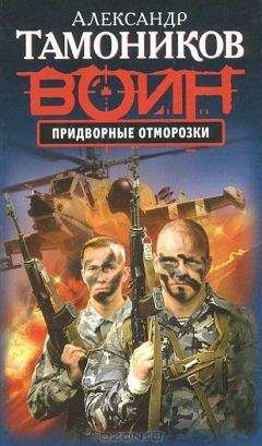 Читайте книги онлайн на Bookidrom.ru! Бесплатные книги в одном клике Александр Тамоников - Придворные отморозки