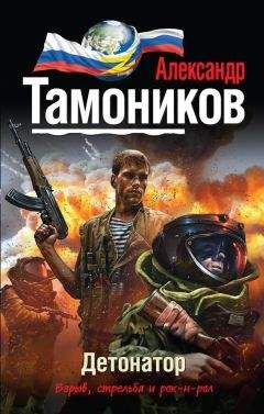 Читайте книги онлайн на Bookidrom.ru! Бесплатные книги в одном клике Александр Тамоников - Детонатор