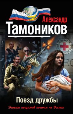 Читайте книги онлайн на Bookidrom.ru! Бесплатные книги в одном клике Александр Тамоников - Поезд дружбы