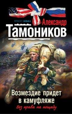 Читайте книги онлайн на Bookidrom.ru! Бесплатные книги в одном клике Александр Тамоников - Возмездие придет в камуфляже