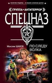Читайте книги онлайн на Bookidrom.ru! Бесплатные книги в одном клике Максим Шахов - По следу волка