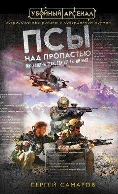 Читайте книги онлайн на Bookidrom.ru! Бесплатные книги в одном клике Сергей Самаров - Псы над пропастью