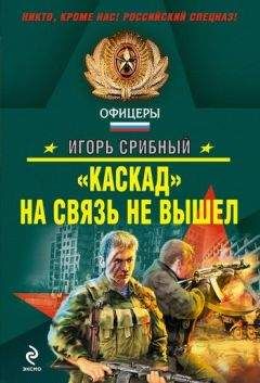 Читайте книги онлайн на Bookidrom.ru! Бесплатные книги в одном клике Игорь Срибный - «Каскад» на связь не вышел