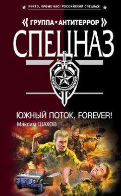 Читайте книги онлайн на Bookidrom.ru! Бесплатные книги в одном клике Максим Шахов - Южный поток – forever!