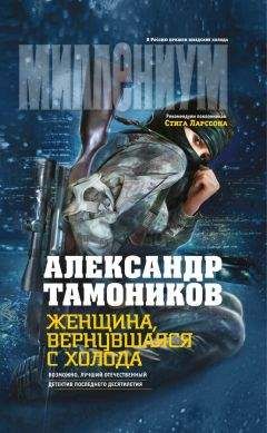 Читайте книги онлайн на Bookidrom.ru! Бесплатные книги в одном клике Александр Тамоников - Женщина, вернувшаяся с холода