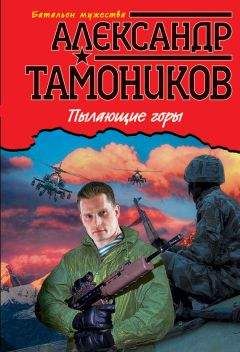 Читайте книги онлайн на Bookidrom.ru! Бесплатные книги в одном клике Александр Тамоников - Пылающие горы