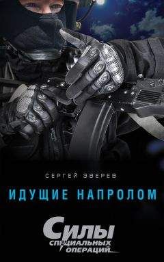 Читайте книги онлайн на Bookidrom.ru! Бесплатные книги в одном клике Сергей Зверев - Идущие напролом