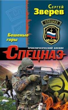 Читайте книги онлайн на Bookidrom.ru! Бесплатные книги в одном клике Сергей Зверев - Бешеные горы