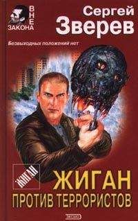 Читайте книги онлайн на Bookidrom.ru! Бесплатные книги в одном клике Сергей Зверев - Жиган против террористов