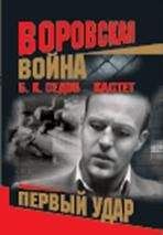 Читайте книги онлайн на Bookidrom.ru! Бесплатные книги в одном клике Борис Седов - Кастет. Первый удар
