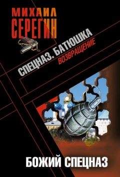 Читайте книги онлайн на Bookidrom.ru! Бесплатные книги в одном клике Михаил Серегин - Божий спецназ