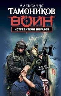 Читайте книги онлайн на Bookidrom.ru! Бесплатные книги в одном клике Александр Тамоников - Истребители пиратов