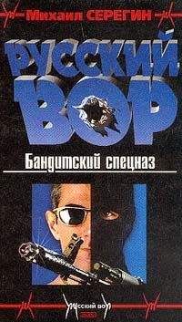 Читайте книги онлайн на Bookidrom.ru! Бесплатные книги в одном клике Михаил Серегин - Бандитский спецназ