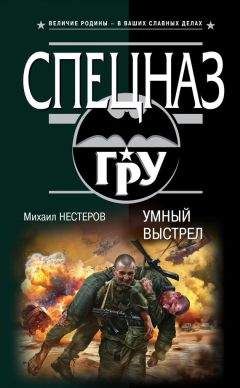 Читайте книги онлайн на Bookidrom.ru! Бесплатные книги в одном клике Михаил Нестеров - Умный выстрел