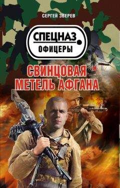 Читайте книги онлайн на Bookidrom.ru! Бесплатные книги в одном клике Сергей Зверев - Свинцовая метель Афгана