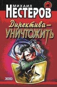 Читайте книги онлайн на Bookidrom.ru! Бесплатные книги в одном клике Михаил Нестеров - Директива – уничтожить