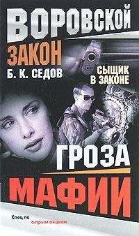 Читайте книги онлайн на Bookidrom.ru! Бесплатные книги в одном клике Борис Седов - Гроза мафии