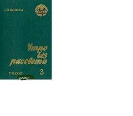 Читайте книги онлайн на Bookidrom.ru! Бесплатные книги в одном клике Эльмира Нетесова - Утро без рассвета. Сахалин