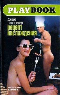 Читайте книги онлайн на Bookidrom.ru! Бесплатные книги в одном клике Джон Ланчестер - Рецепт наслаждения
