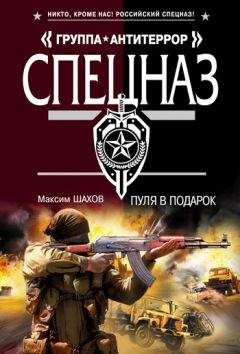 Читайте книги онлайн на Bookidrom.ru! Бесплатные книги в одном клике Максим Шахов - Пуля в подарок