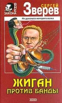 Читайте книги онлайн на Bookidrom.ru! Бесплатные книги в одном клике Сергей Зверев - Жиган против банды