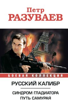 Читайте книги онлайн на Bookidrom.ru! Бесплатные книги в одном клике Пётр Разуваев - Русский калибр (сборник)