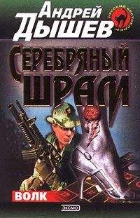 Читайте книги онлайн на Bookidrom.ru! Бесплатные книги в одном клике Андрей Дышев - Серебряный шрам