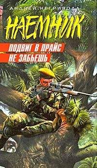 Читайте книги онлайн на Bookidrom.ru! Бесплатные книги в одном клике Андрей Негривода - Подвиг в прайс не забьешь