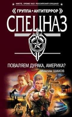 Читайте книги онлайн на Bookidrom.ru! Бесплатные книги в одном клике Максим Шахов - Поваляем дурака, Америка?