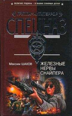 Читайте книги онлайн на Bookidrom.ru! Бесплатные книги в одном клике Максим Шахов - Железные нервы снайпера
