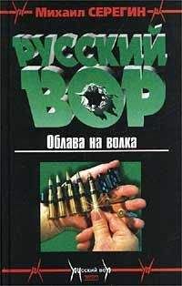 Читайте книги онлайн на Bookidrom.ru! Бесплатные книги в одном клике Михаил Серегин - Облава на волка