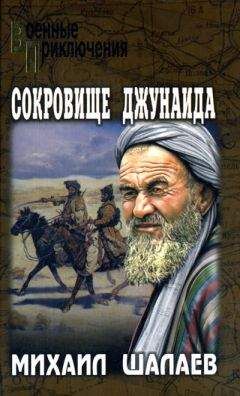 Читайте книги онлайн на Bookidrom.ru! Бесплатные книги в одном клике Михаил Шалаев - Сокровище Джунаида
