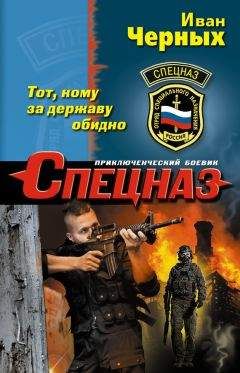 Читайте книги онлайн на Bookidrom.ru! Бесплатные книги в одном клике Иван Черных - Тот, кому за державу обидно