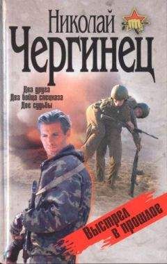 Читайте книги онлайн на Bookidrom.ru! Бесплатные книги в одном клике Николай Чергинец - Выстрел в прошлое
