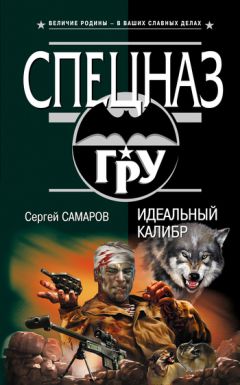 Читайте книги онлайн на Bookidrom.ru! Бесплатные книги в одном клике Сергей Самаров - Идеальный калибр