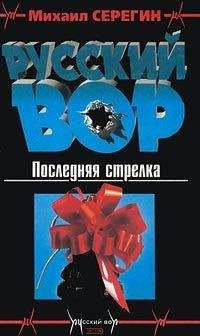 Читайте книги онлайн на Bookidrom.ru! Бесплатные книги в одном клике Михаил Серегин - Последняя стрелка
