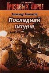 Александр Тамоников - Последний штурм