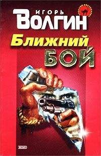 Читайте книги онлайн на Bookidrom.ru! Бесплатные книги в одном клике Игорь Волгин - Ближний бой