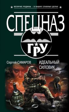 Читайте книги онлайн на Bookidrom.ru! Бесплатные книги в одном клике Сергей Самаров - Идеальный силовик