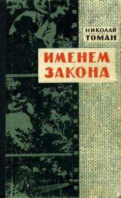 Читайте книги онлайн на Bookidrom.ru! Бесплатные книги в одном клике Николай Томан - Именем закона