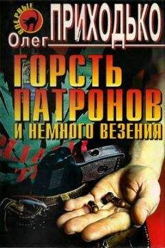 Читайте книги онлайн на Bookidrom.ru! Бесплатные книги в одном клике Олег Приходько - Горсть патронов и немного везения