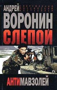 Читайте книги онлайн на Bookidrom.ru! Бесплатные книги в одном клике Андрей Воронин - Антимавзолей