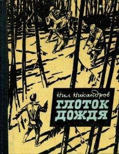 Читайте книги онлайн на Bookidrom.ru! Бесплатные книги в одном клике Нил Никандров - Глоток дождя