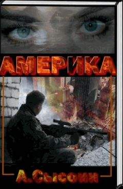 Читайте книги онлайн на Bookidrom.ru! Бесплатные книги в одном клике Андрей Сысоин - Америка XXI век