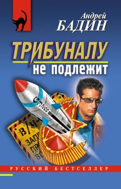 Читайте книги онлайн на Bookidrom.ru! Бесплатные книги в одном клике Андрей Бадин - Трибуналу не подлежит