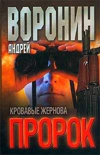 Читайте книги онлайн на Bookidrom.ru! Бесплатные книги в одном клике Андрей Воронин - Кровавые жернова